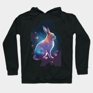 Year of the rabbit chinese zodiac sign space design with stars Hoodie